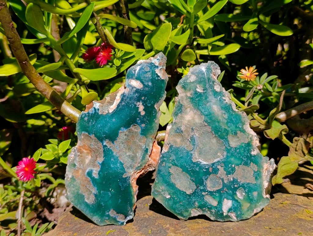 Polished On One Side Mtorolite Chrysoprase Plates x 6 From Mutorashanga, Zimbabwe - Toprock Gemstones and Minerals 
