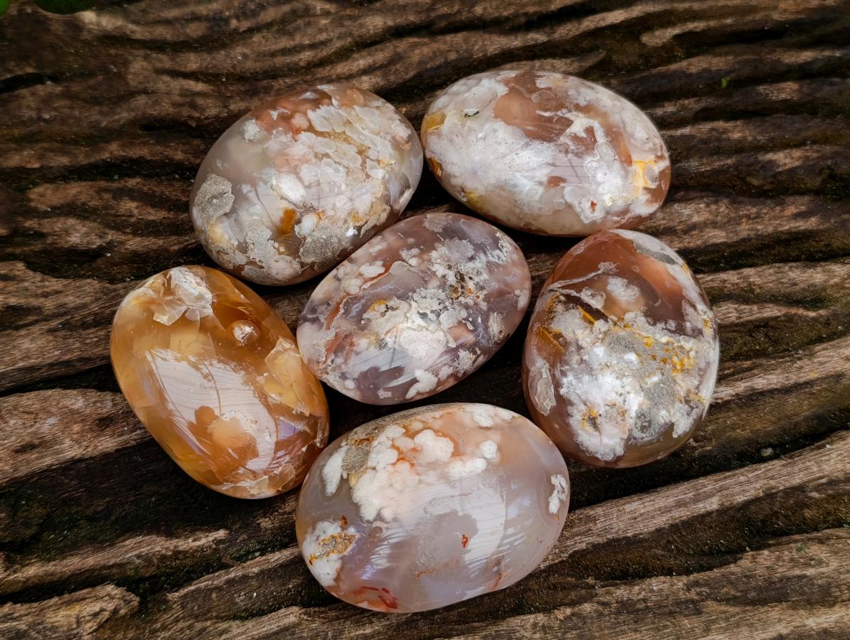 Polished Flower Agate Palm Stones x 24 From Antsahalova, Madagascar - Toprock Gemstones and Minerals 