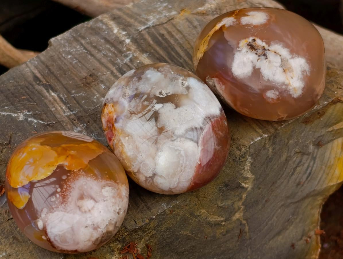 Polished Flower Agate Palm Stones x 24 From Antsahalova, Madagascar - Toprock Gemstones and Minerals 