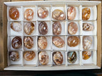 Polished Flower Agate Palm Stones x 24 From Antsahalova, Madagascar - Toprock Gemstones and Minerals 