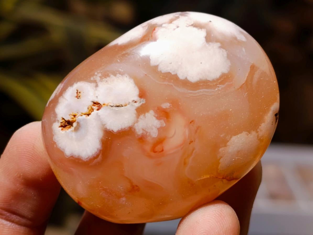 Polished Flower Agate Palm Stones x 24 From Antsahalova, Madagascar - Toprock Gemstones and Minerals 