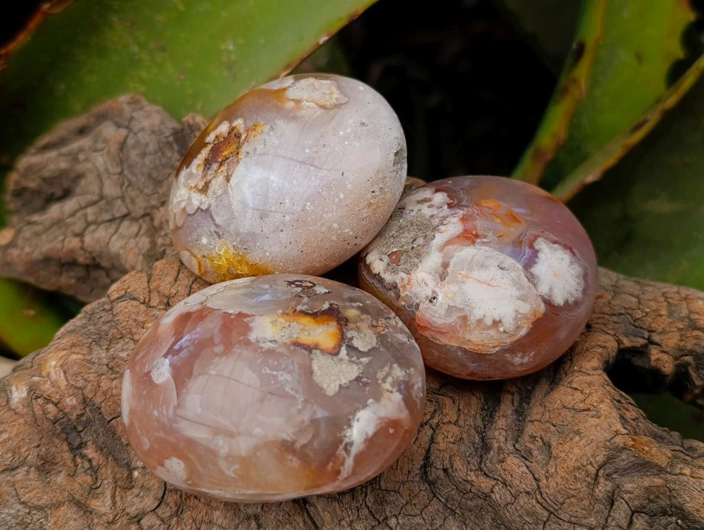 Polished Flower Agate Palm Stones x 24 From Antsahalova, Madagascar - Toprock Gemstones and Minerals 