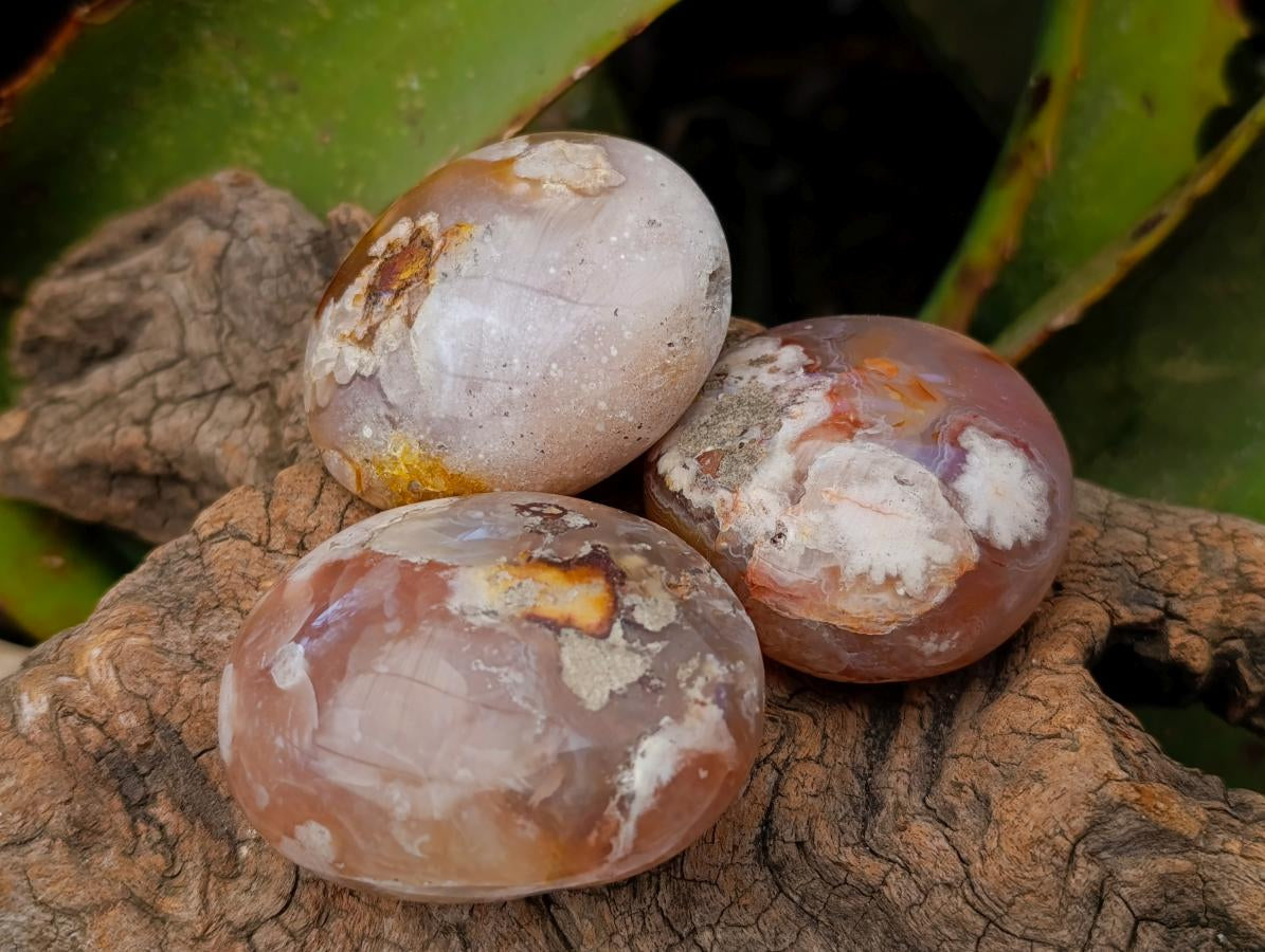 Polished Flower Agate Palm Stones x 24 From Antsahalova, Madagascar - Toprock Gemstones and Minerals 