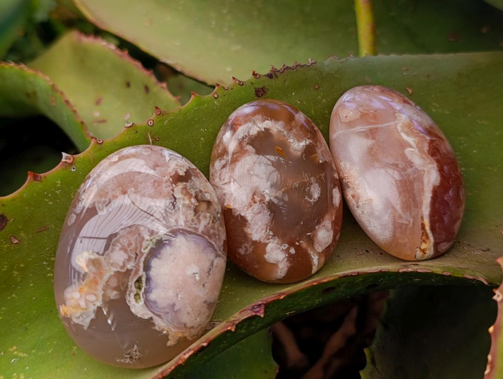 Polished Flower Agate Palm Stones x 24 From Antsahalova, Madagascar - Toprock Gemstones and Minerals 