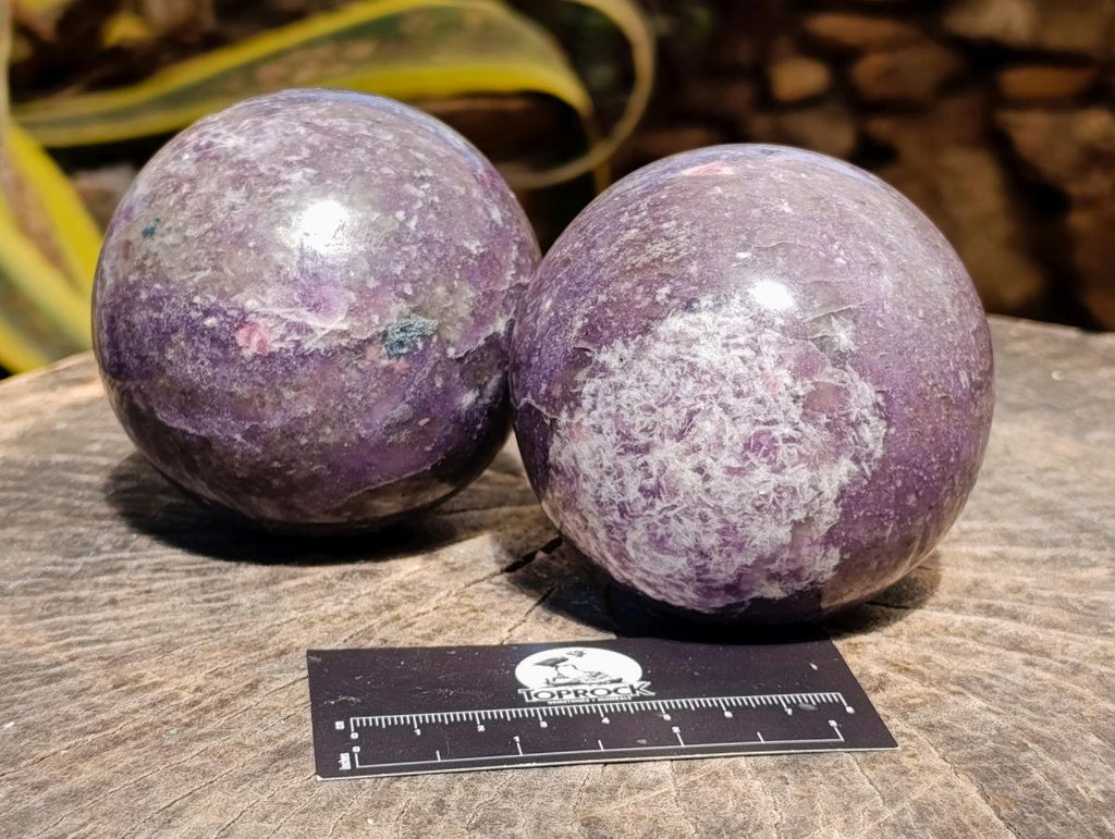 Polished Lepidolite Spheres x 2 From Ambatondrazaka, Madagascar - Toprock Gemstones and Minerals 