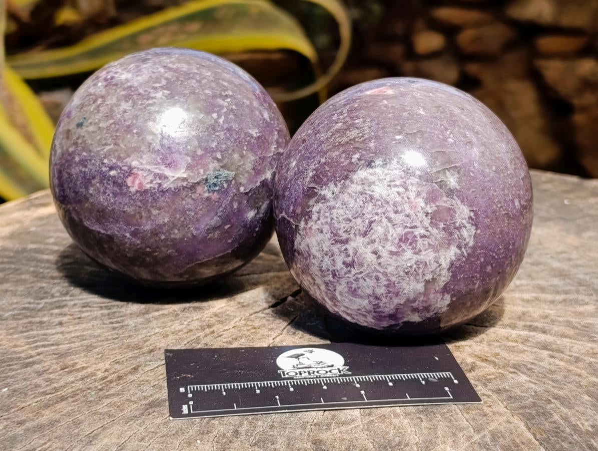 Polished Lepidolite Spheres x 2 From Ambatondrazaka, Madagascar - Toprock Gemstones and Minerals 