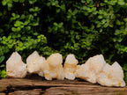 Natural Cascading Etched Candle Quartz Clusters x 6 From Antsirabe, Madagascar - Toprock Gemstones and Minerals 