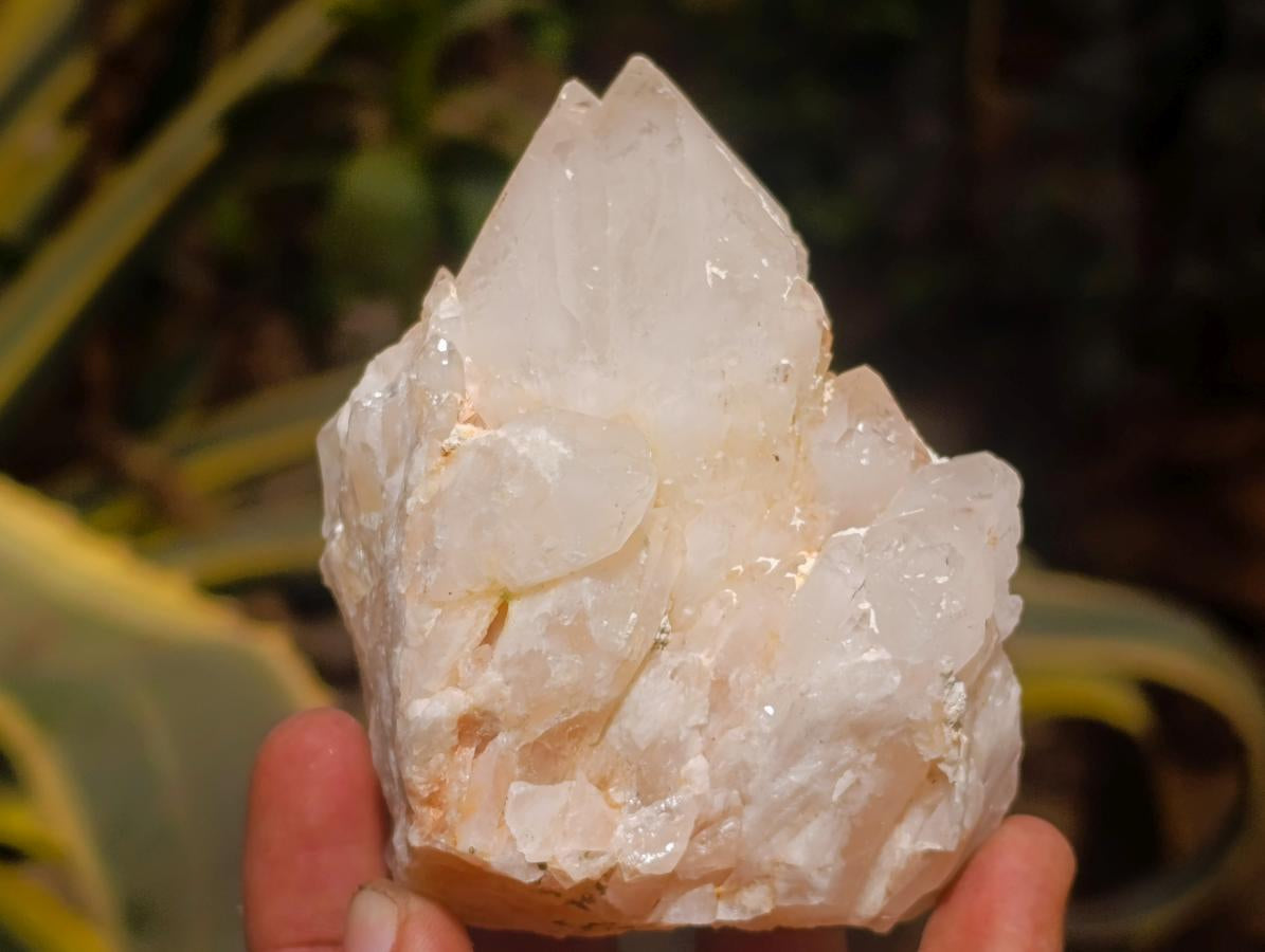 Natural Cascading Etched Candle Quartz Clusters x 6 From Antsirabe, Madagascar - Toprock Gemstones and Minerals 