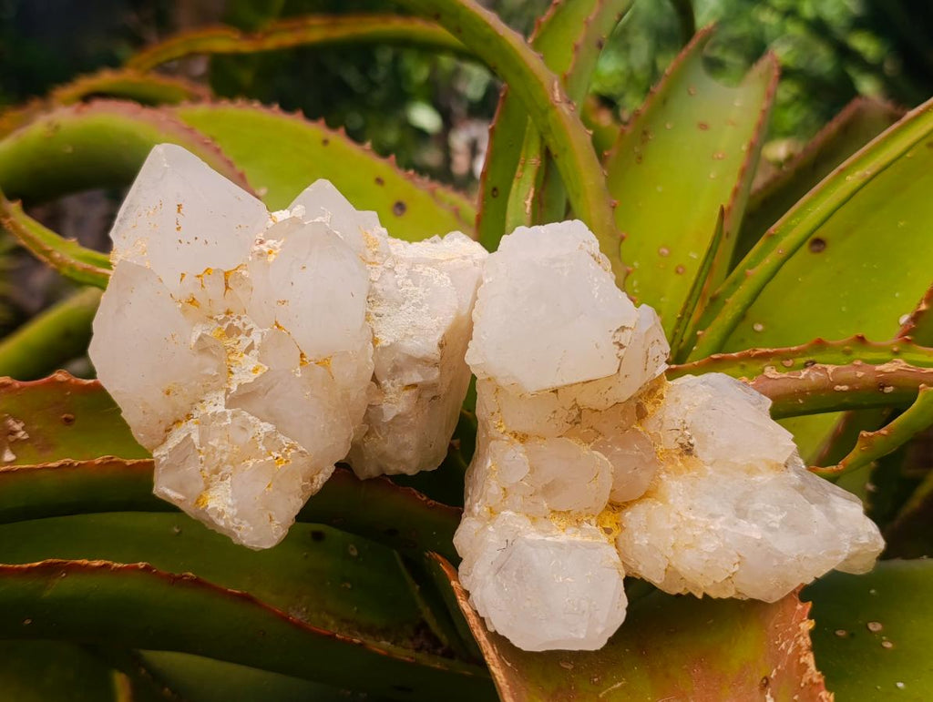 Natural Cascading Etched Candle Quartz Clusters x 6 From Antsirabe, Madagascar - Toprock Gemstones and Minerals 