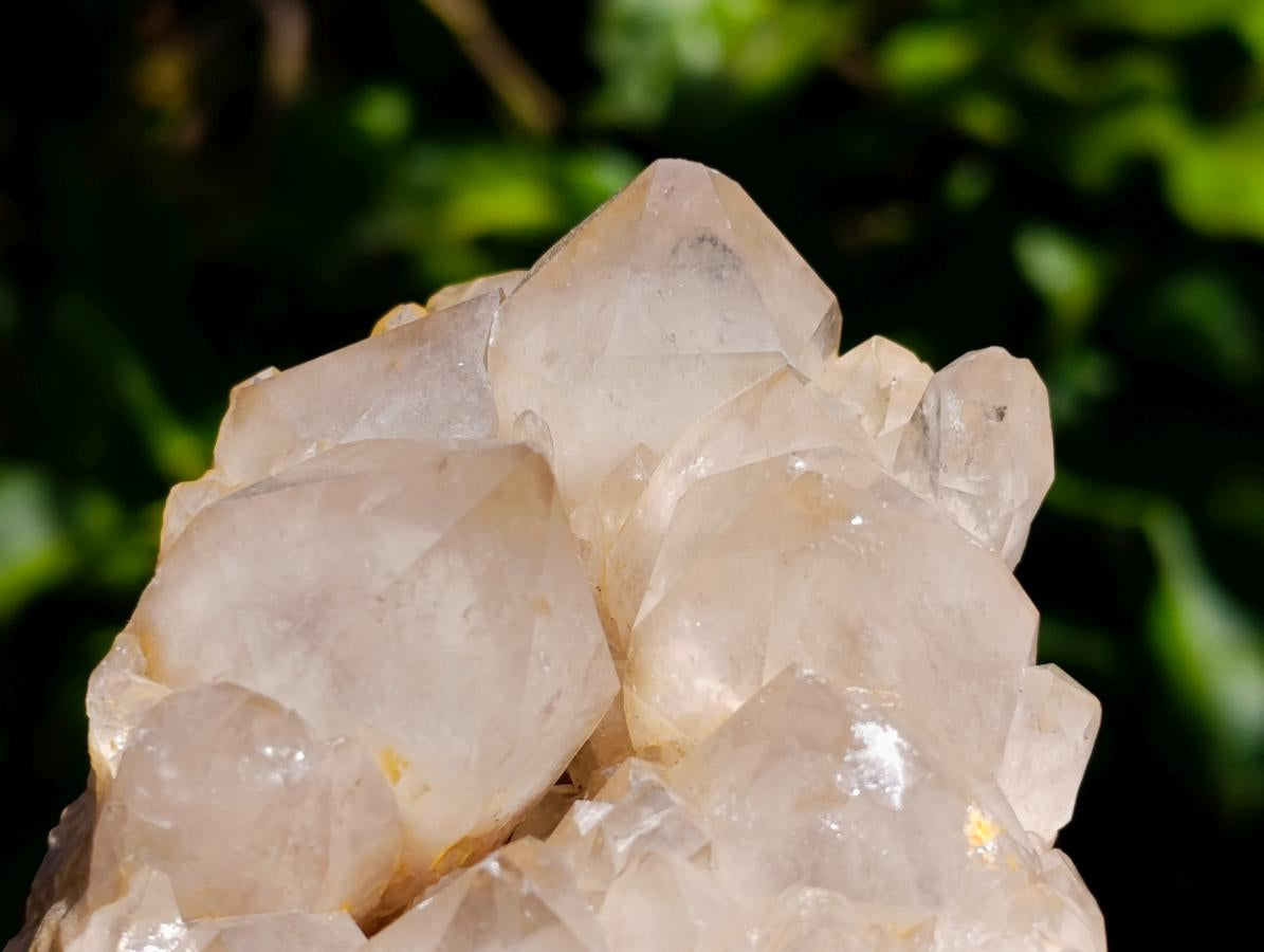 Natural Cascading White Phantom Smokey Luena Quartz Clusters x 2 From Luena, Congo - Toprock Gemstones and Minerals 