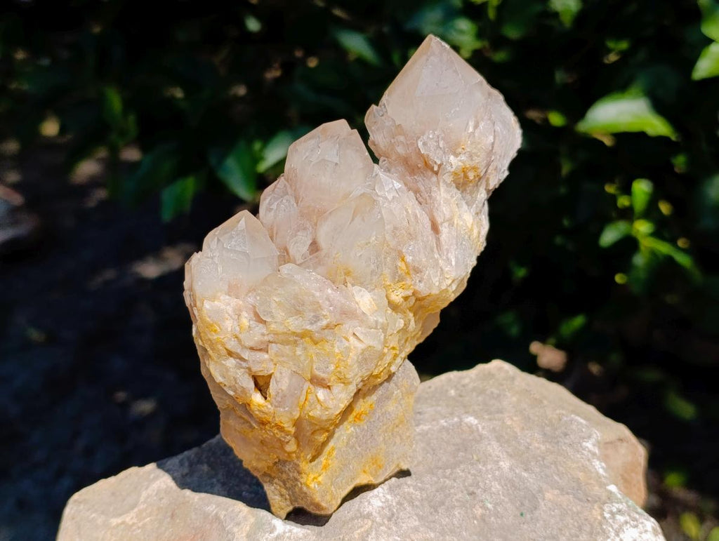 Natural Cascading White Phantom Smokey Luena Quartz Clusters x 2 From Luena, Congo - Toprock Gemstones and Minerals 