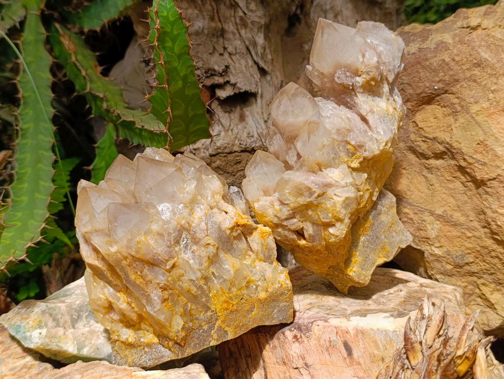 Natural Cascading White Phantom Smokey Luena Quartz Clusters x 2 From Luena, Congo - Toprock Gemstones and Minerals 