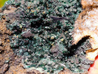 Natural Crystalline Malachite Specimens x 2 From Tenke Fungurume, Congo - Toprock Gemstones and Minerals 