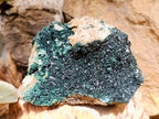 Natural Crystalline Malachite Specimens x 2 From Tenke Fungurume, Congo - Toprock Gemstones and Minerals 