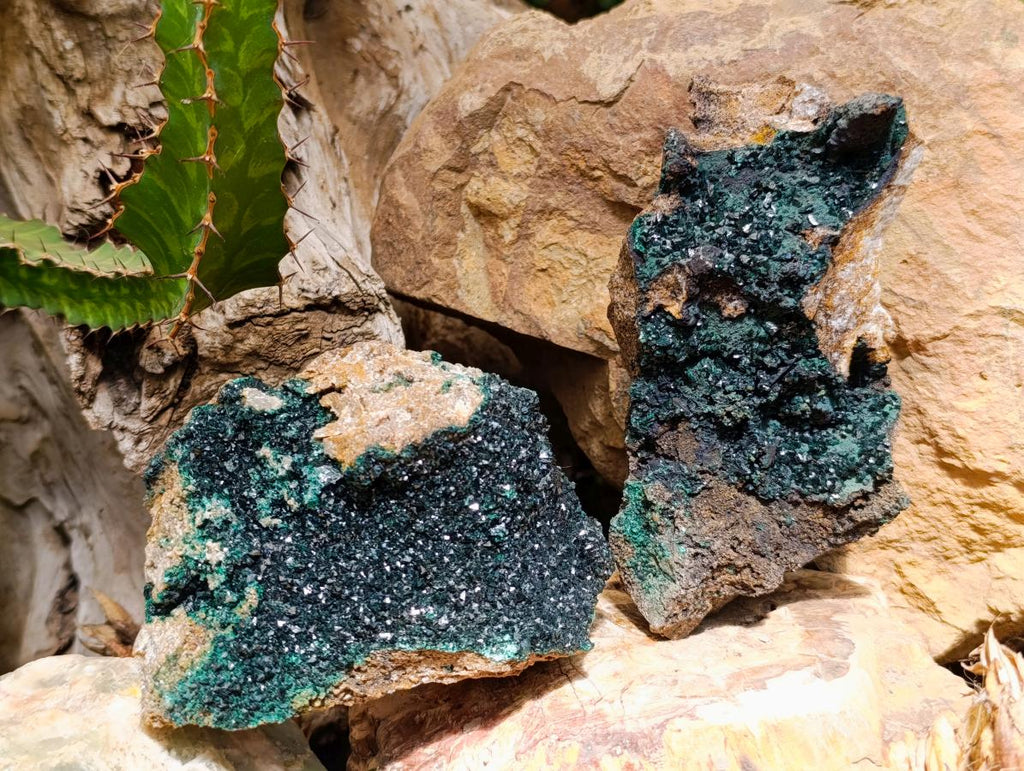 Natural Crystalline Malachite Specimens x 2 From Tenke Fungurume, Congo - Toprock Gemstones and Minerals 