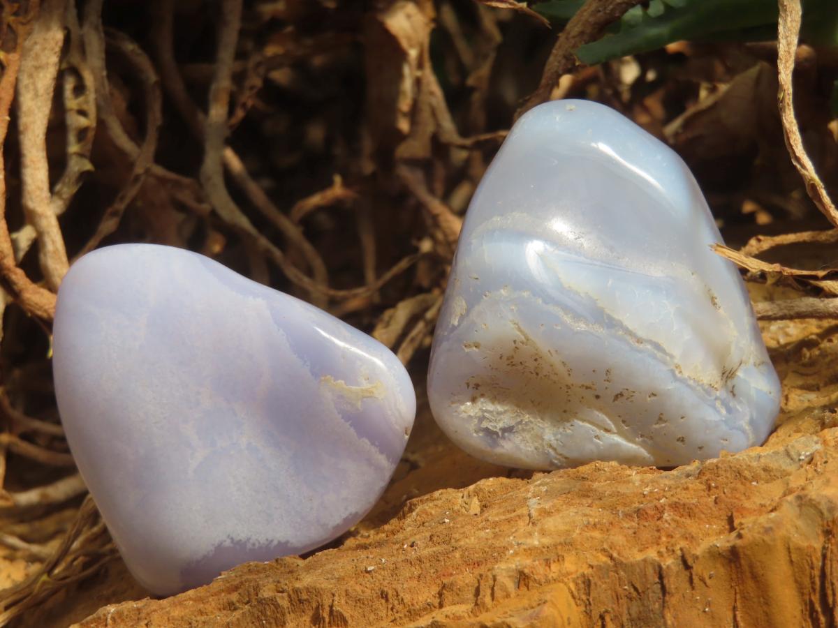 Polished Blue Lace Agate Tumbled Free Forms x 31 From Nsanje, Malawi - Toprock Gemstones and Minerals 