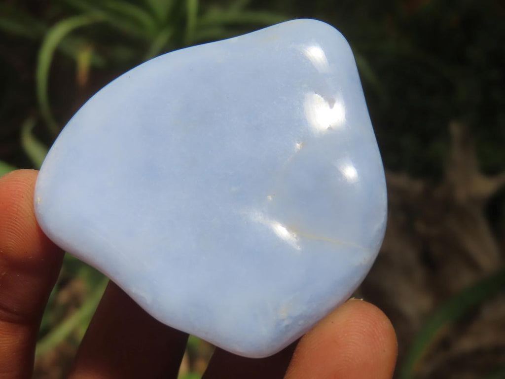 Polished Blue Lace Agate Tumbled Free Forms x 31 From Nsanje, Malawi - Toprock Gemstones and Minerals 