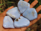 Polished Blue Lace Agate Tumbled Free Forms x 31 From Nsanje, Malawi - Toprock Gemstones and Minerals 