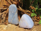 Polished Blue Lace Agate Tumbled Free Forms x 31 From Nsanje, Malawi - Toprock Gemstones and Minerals 