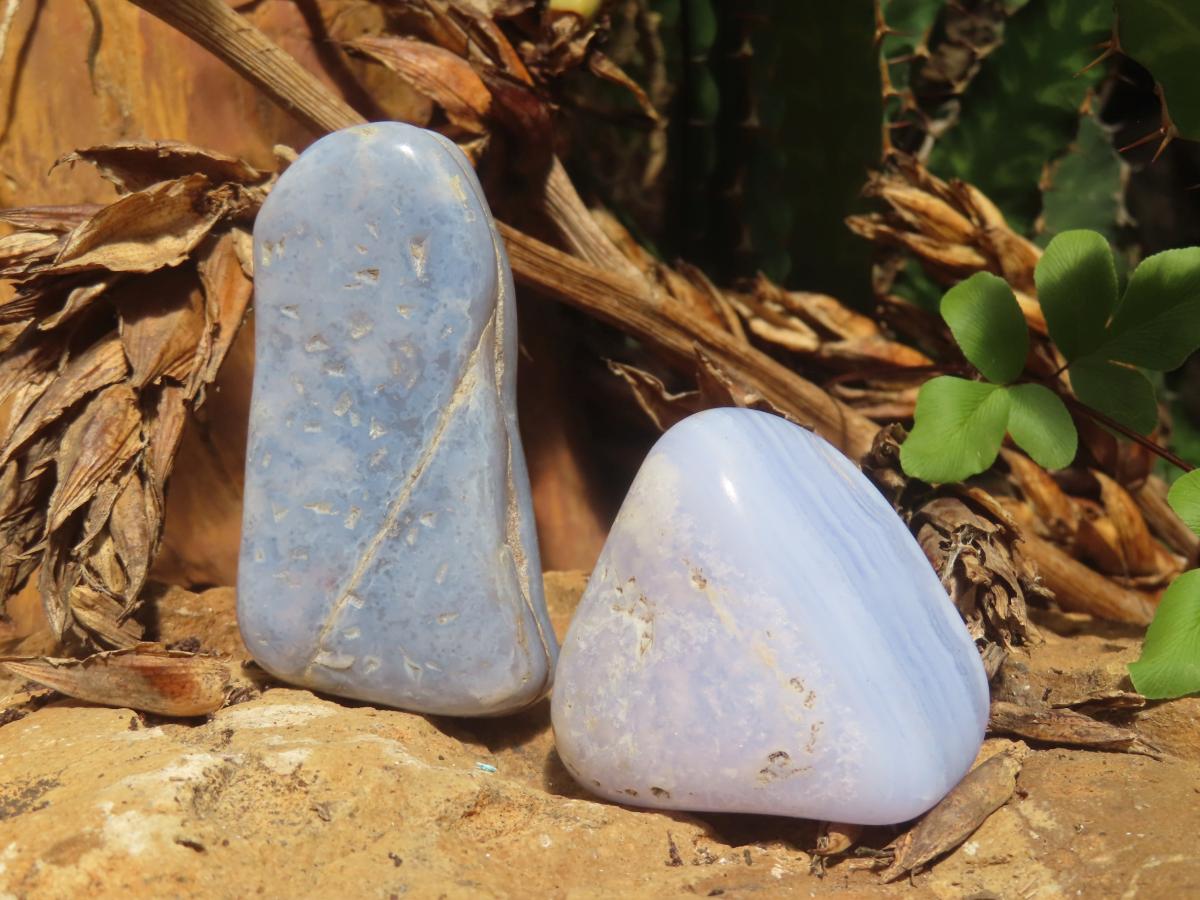 Polished Blue Lace Agate Tumbled Free Forms x 31 From Nsanje, Malawi - Toprock Gemstones and Minerals 