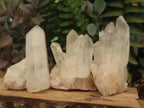 Natural Mixed Quartz Crystal Clusters x 35 From Madagascar - Toprock Gemstones and Minerals 