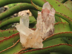 Natural Mixed Quartz Crystal Clusters x 35 From Madagascar - Toprock Gemstones and Minerals 