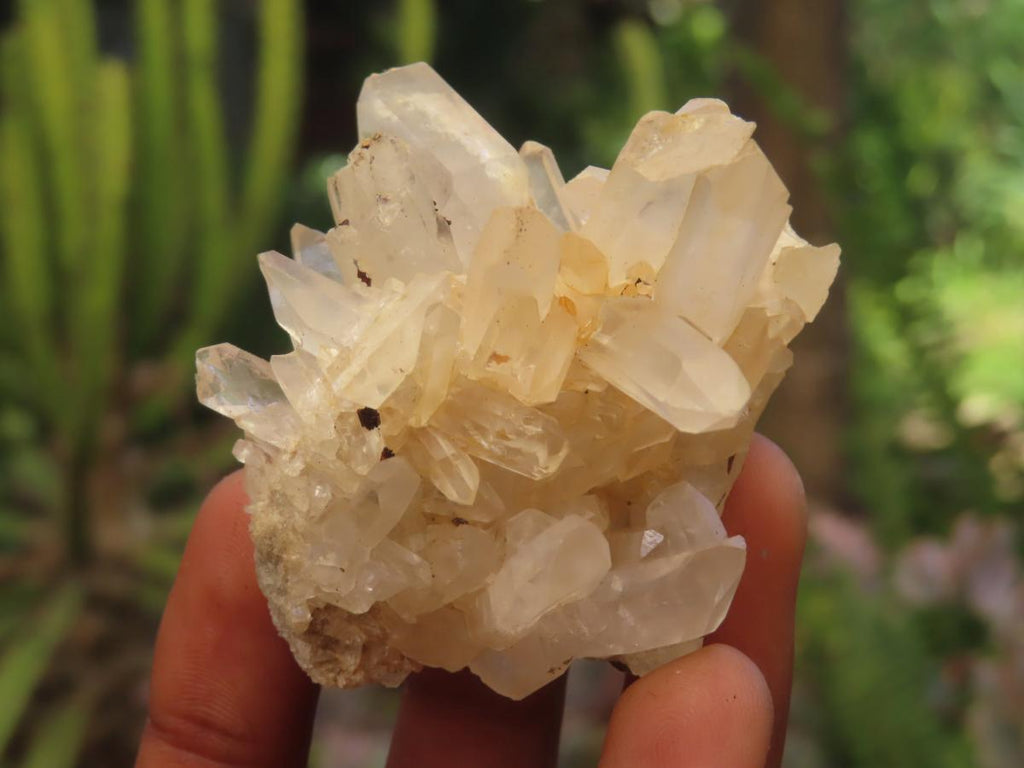 Natural Mixed Quartz Crystal Clusters x 35 From Madagascar - Toprock Gemstones and Minerals 