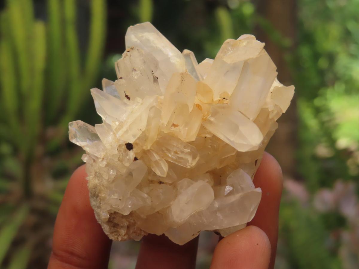 Natural Mixed Quartz Crystal Clusters x 35 From Madagascar - Toprock Gemstones and Minerals 