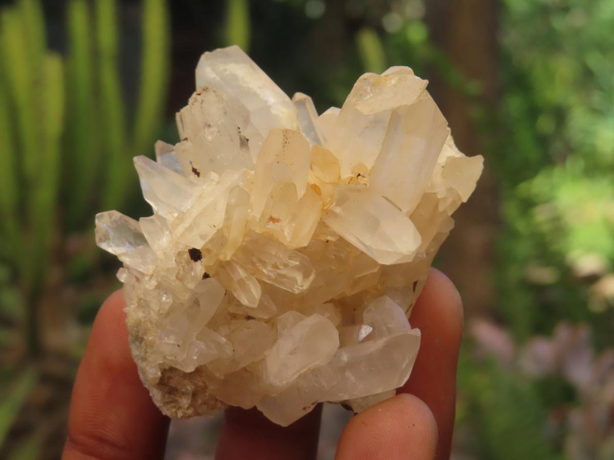 Natural Mixed Quartz Crystal Clusters x 35 From Madagascar - Toprock Gemstones and Minerals 