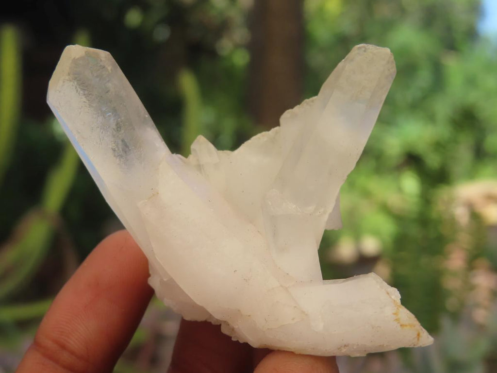 Natural Mixed Quartz Crystal Clusters x 35 From Madagascar - Toprock Gemstones and Minerals 