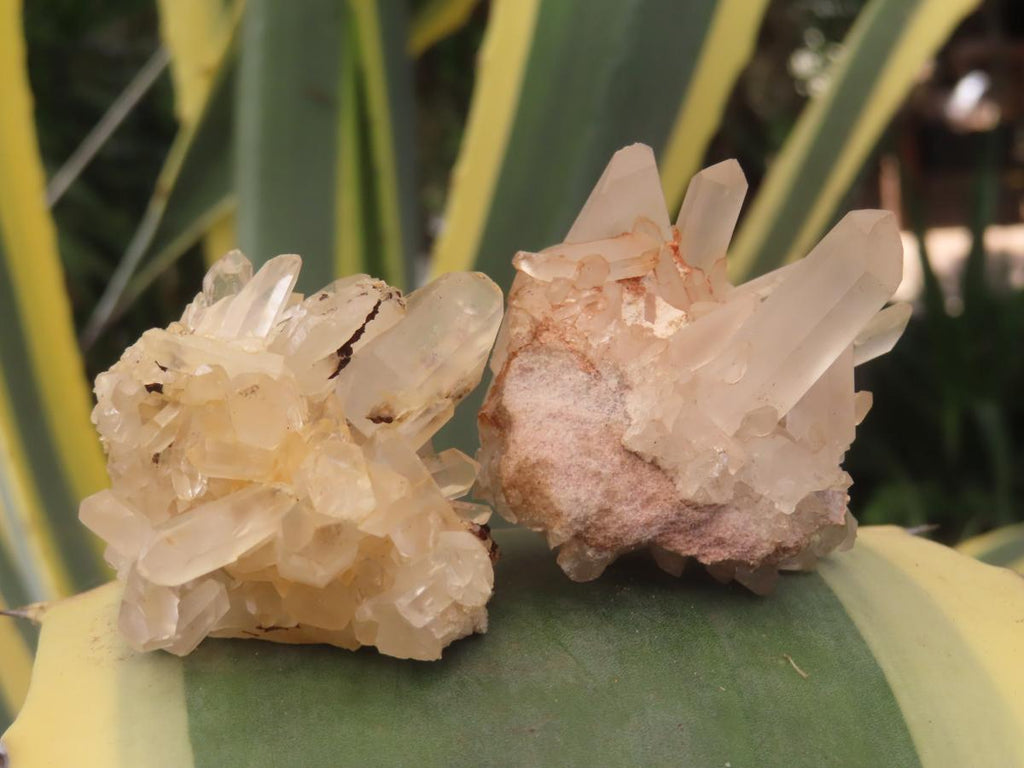 Natural Mixed Quartz Crystal Clusters x 35 From Madagascar - Toprock Gemstones and Minerals 