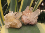 Natural Mixed Quartz Crystal Clusters x 35 From Madagascar - Toprock Gemstones and Minerals 