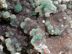 Natural Drusy Coated Ball Malachite Specimen x 1 From Lupoto Mine, Congo - Toprock Gemstones and Minerals 