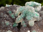 Natural Drusy Coated Ball Malachite Specimen x 1 From Lupoto Mine, Congo - Toprock Gemstones and Minerals 