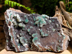 Natural Drusy Coated Ball Malachite Specimen x 1 From Lupoto Mine, Congo - Toprock Gemstones and Minerals 