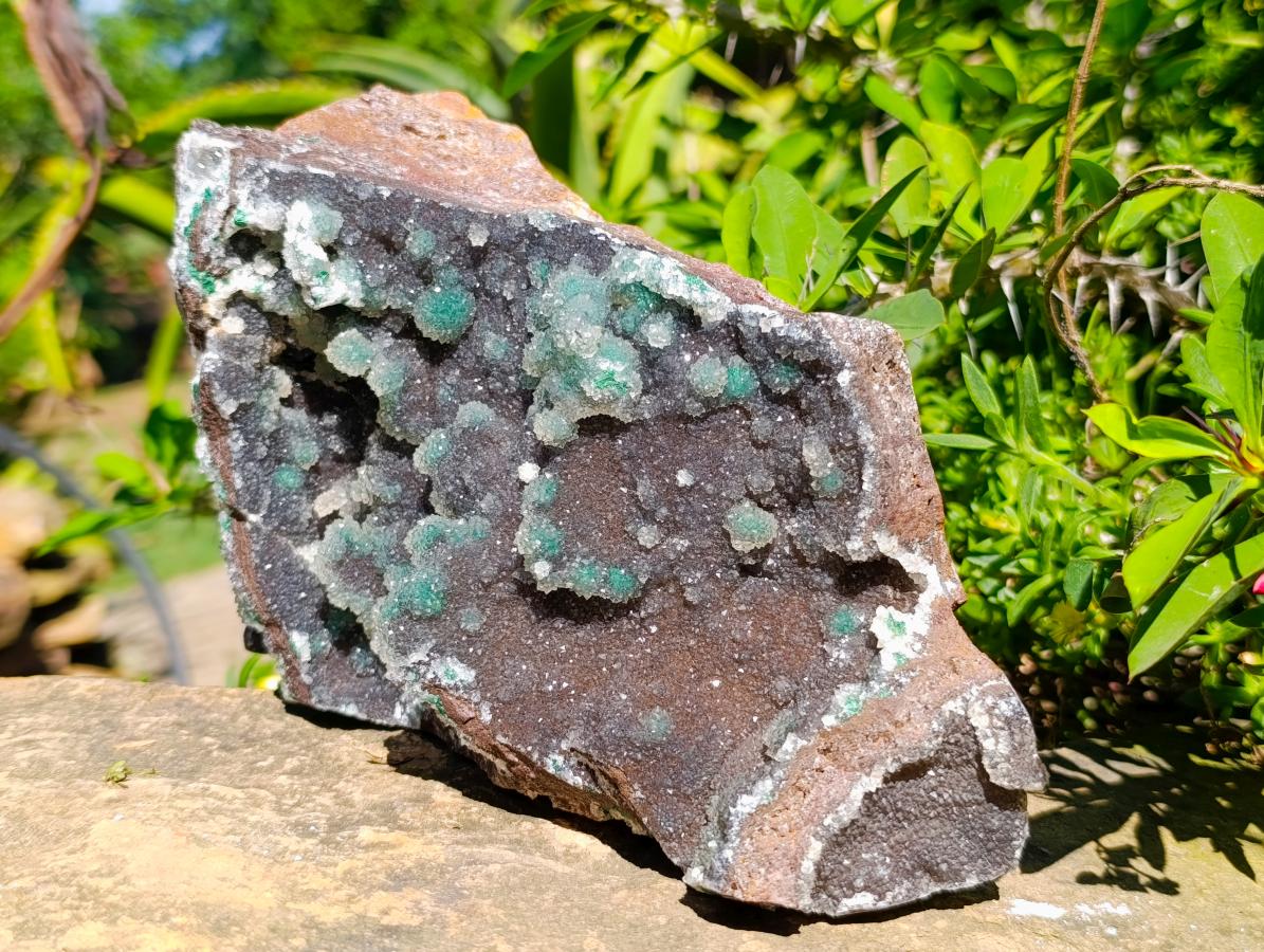 Natural Drusy Coated Ball Malachite Specimen x 1 From Lupoto Mine, Congo - Toprock Gemstones and Minerals 