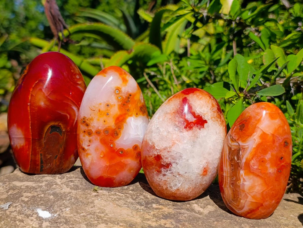 Polished Carnelian Agate Gemstone Standing Free Forms x 4 From Madagascar - Toprock Gemstones and Minerals 