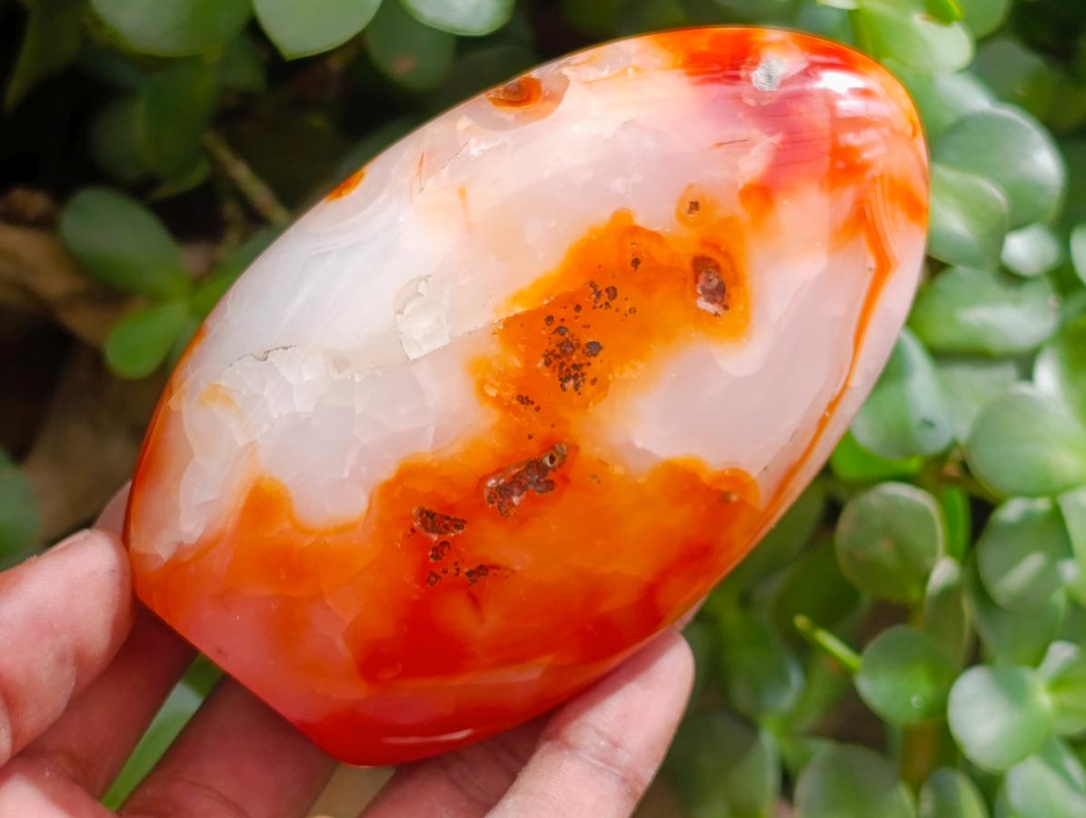Polished Carnelian Agate Gemstone Standing Free Forms x 4 From Madagascar - Toprock Gemstones and Minerals 