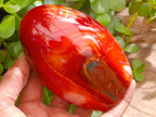 Polished Carnelian Agate Gemstone Standing Free Forms x 4 From Madagascar - Toprock Gemstones and Minerals 