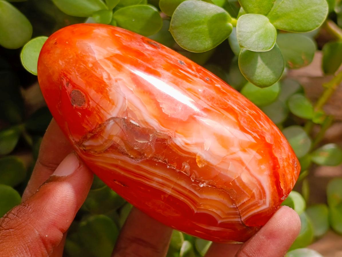 Polished Carnelian Agate Gemstone Standing Free Forms x 4 From Madagascar - Toprock Gemstones and Minerals 