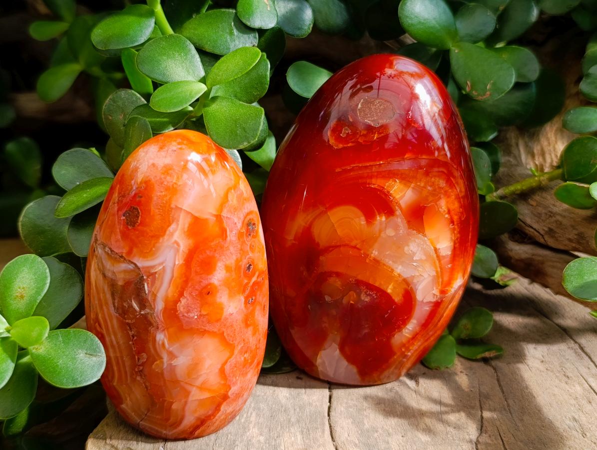 Polished Carnelian Agate Gemstone Standing Free Forms x 4 From Madagascar - Toprock Gemstones and Minerals 