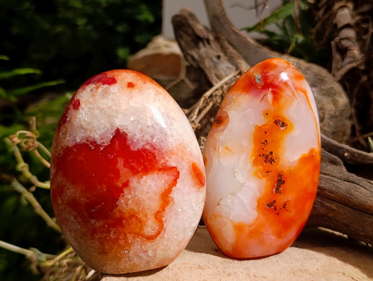 Polished Carnelian Agate Gemstone Standing Free Forms x 4 From Madagascar - Toprock Gemstones and Minerals 