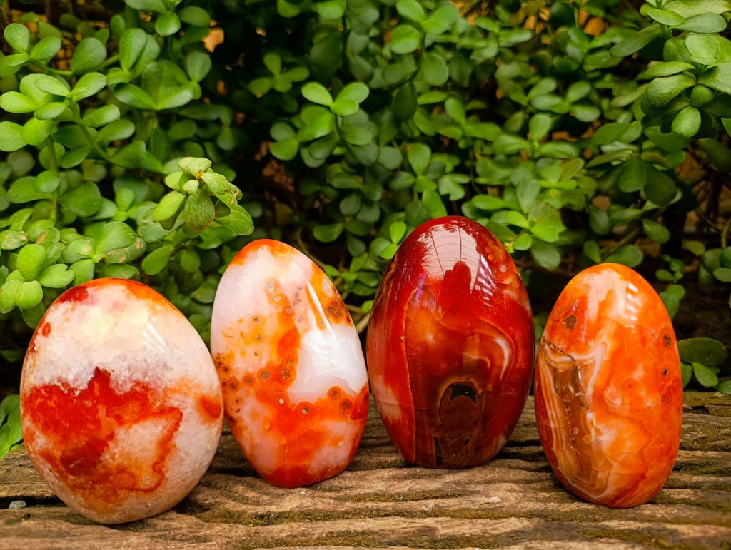 Polished Carnelian Agate Gemstone Standing Free Forms x 4 From Madagascar - Toprock Gemstones and Minerals 