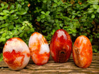 Polished Carnelian Agate Gemstone Standing Free Forms x 4 From Madagascar - Toprock Gemstones and Minerals 