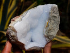 Natural Blue Lace Agate Geode Specimens x 6 From Nsanje, Malawi - Toprock Gemstones and Minerals 