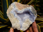 Natural Blue Lace Agate Geode Specimens x 6 From Nsanje, Malawi - Toprock Gemstones and Minerals 