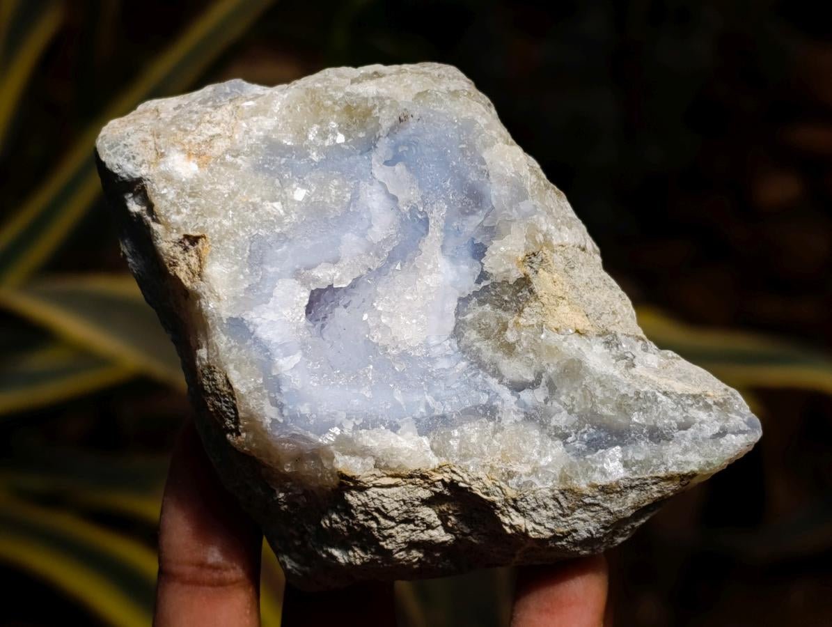Natural Blue Lace Agate Geode Specimens x 6 From Nsanje, Malawi - Toprock Gemstones and Minerals 