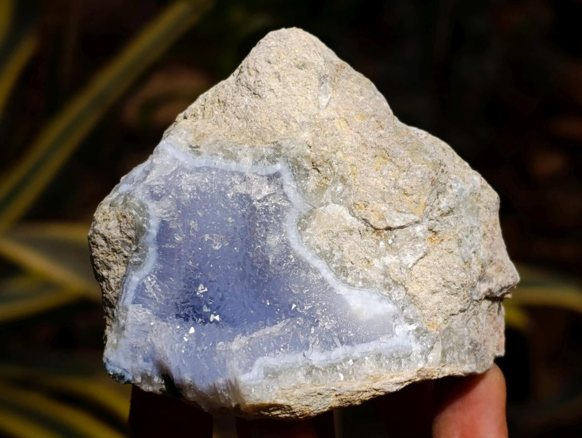 Natural Blue Lace Agate Geode Specimens x 6 From Nsanje, Malawi - Toprock Gemstones and Minerals 