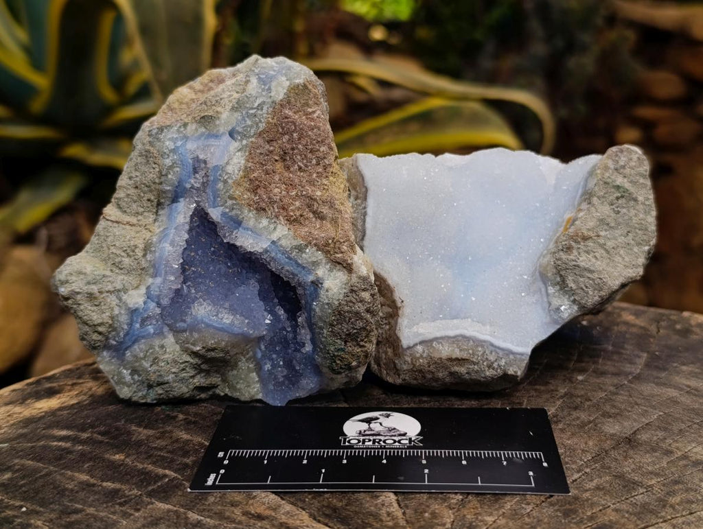 Natural Blue Lace Agate Geode Specimens x 6 From Nsanje, Malawi - Toprock Gemstones and Minerals 