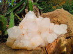 Natural Large Castle Phantom Quartz Cluster x 1 From Madagascar - Toprock Gemstones and Minerals 